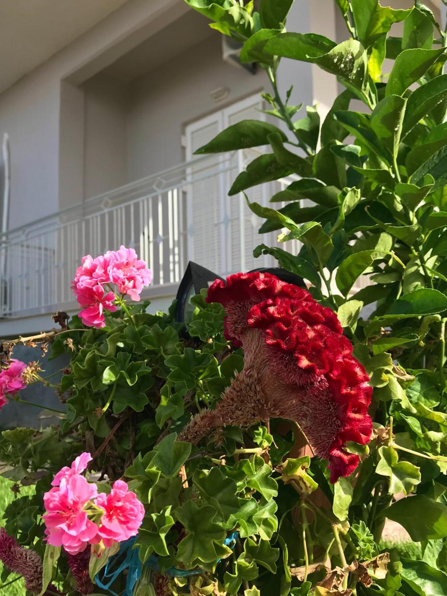 Kalimera Suite Каламата Екстер'єр фото